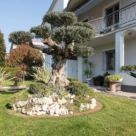 L'ulivo Bed & Breakfast San Matteo della Decima
